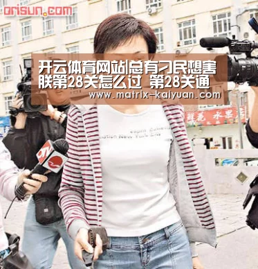开云体育网站|总有刁民想害朕第28关怎么过 第28关通关攻略(图3) 开云下载网址