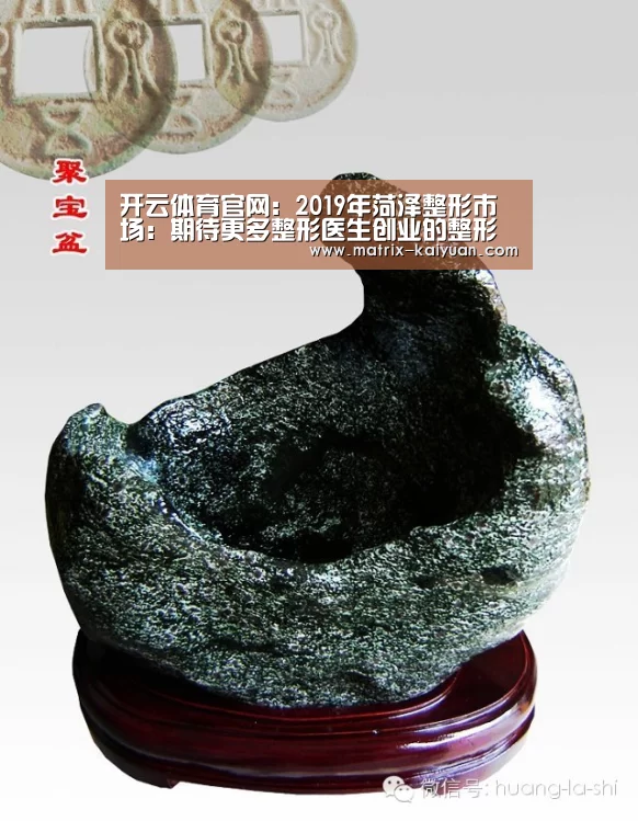 开云体育官网:2019年菏泽整形市场:期待更多整形医生创业的整形市场(图2) 开云体育网站